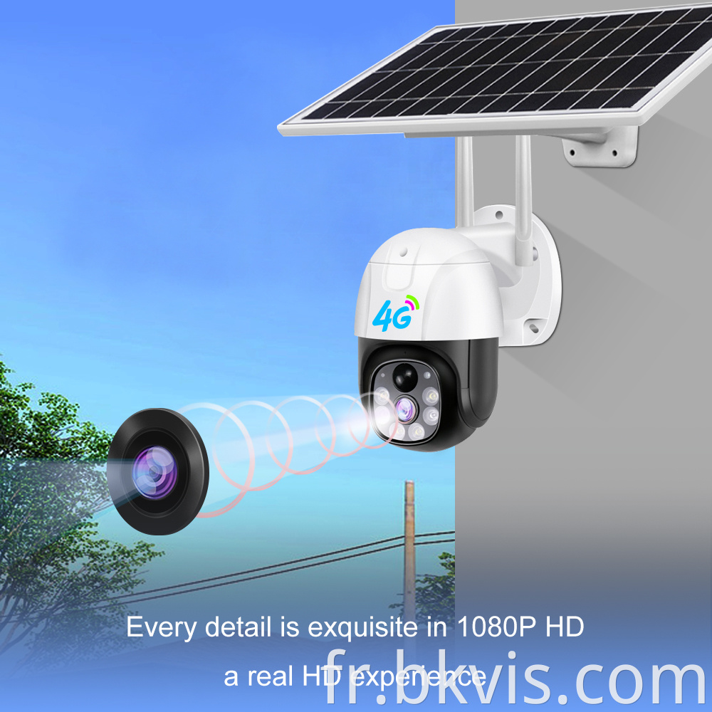 Security Monitor Radar Dual Induction Detection Camera